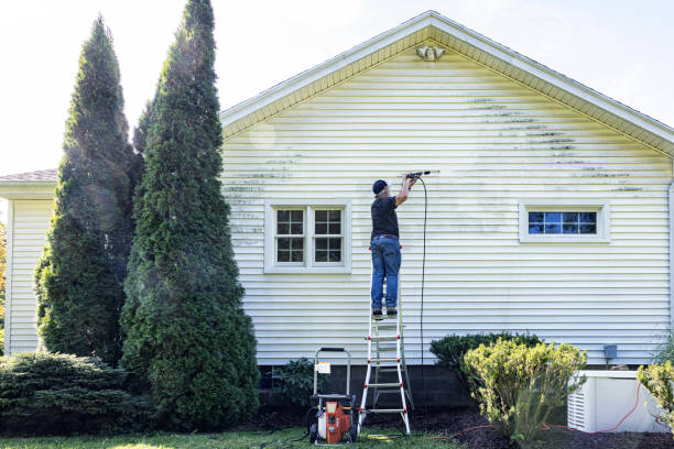 Best Roof Power Washing Services  in Philippi, WV