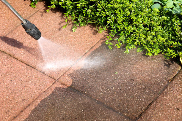 Local Pressure Washing Services in Philippi, WV